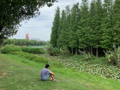 -艾溪湖湿地公园