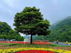 -广州市石门国家森林公园
