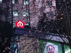 -紫峰大厦