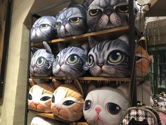 -猫咪博物馆(顶澳仔猫街店)