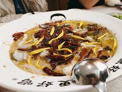 -江渔儿酸菜鱼(曜一城店)