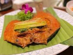 -紫滇源云南生态菜(丹凤街店)