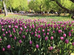 -长春公园(普阳街道)