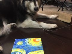 -鼎画艺术机构(贵都店)