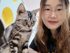 -Bastet sally猫舍购宠(静安店)