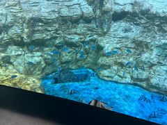 -海合安青岛极地海洋公园