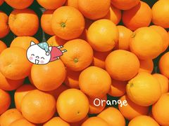 橙子-AEON永旺(东方宝泰店)