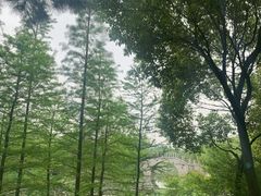 -尚贤河湿地