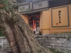 -无锡惠山寺