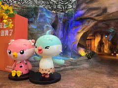 -杭州开元森泊度假乐园