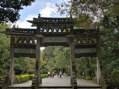 -蝴蝶泉公园