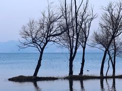 -洱海月湿地公园