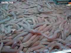 -万宝海鲜舫(劳动公园店)