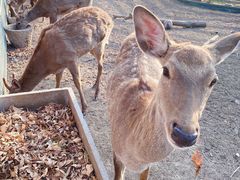 -安德鲁户外烧烤帐篷营地(马泉营店)