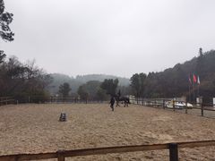 -枫露马术学院(藏书校区)