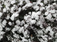 -湘芙蓉·湖南菜(椒江店)