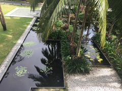 -半山半岛洲际度假酒店·观海廊