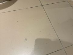 -全季酒店(北京朝阳公园店)