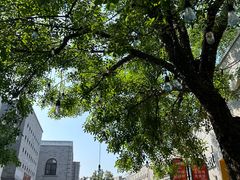-龙湖星悦荟(颐和店)