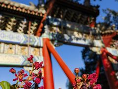 -颐和园