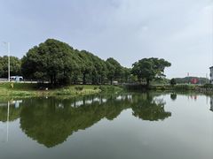 -水岸居湖景农家乐·阳澄湖大闸蟹