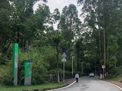 -火炉山森林公园