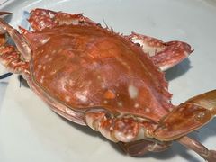 -小螺号海鲜·地道鲁菜(泉城广场店)