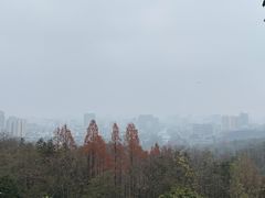 -潜山国家森林公园