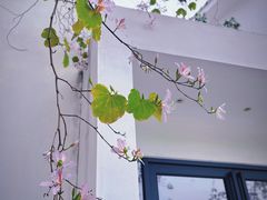 -中国科学院华南植物园