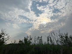 -广富林郊野公园