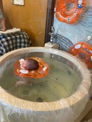 -和伊母婴护理中心·全套房(金山店)