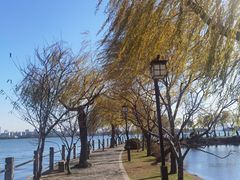 -无锡蠡湖国家湿地公园-蠡园