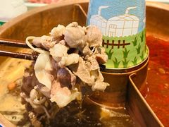 -阿古蒙·传统涮火锅自助(三台子万象汇店)