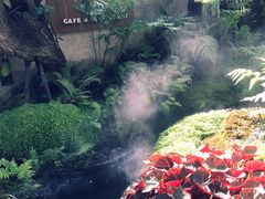 -Chom Cafe and Restaurant