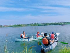-春花秋色城市公园