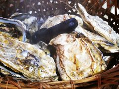 -蚝堡·生蚝海鲜烧烤物种起源•海肠捞饭(刘公岛店)