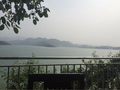 望湖烤鱼-望湖烤鱼