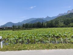 -九华山风景区
