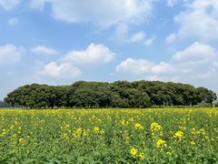 -中国天府农业博览园