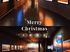 -罗红摄影艺术馆