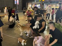 -大悦城(沈阳中街店)