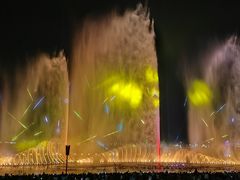 -九龙湖公园