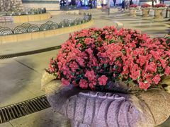 -人民防洪胜利纪念塔