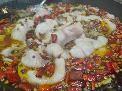 -金三可市井水煮鱼(金碧园店)