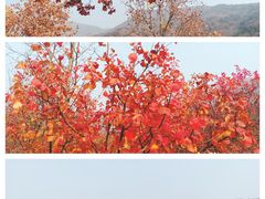 -北京十三陵国家森林公园蟒山景区