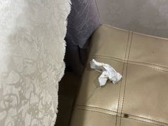 -粤秀小厨·广式早茶(辽宁路店)