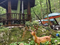 -牛背梁国家森林公园