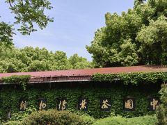 -中国茶叶博物馆(双峰馆区)