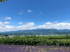 -富田农场