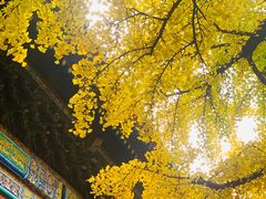 -红螺寺